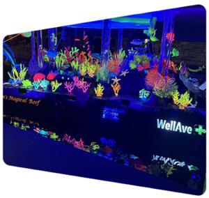 WellAve_12.2.25_2 copy